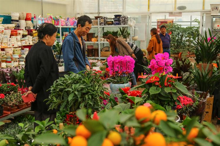 【第一眼】春意濃 花俏俏 你家的春來來了嗎？