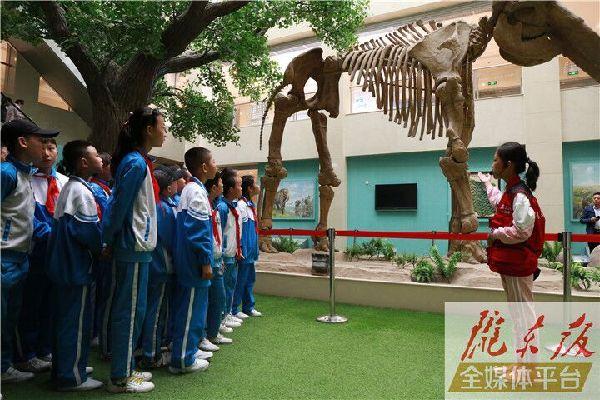 【第一眼】慶陽(yáng)市博物館開(kāi)展多項(xiàng)活動(dòng)慶?！?·18國(guó)際博物館日”