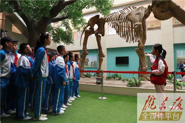【第一眼】慶陽市博物館開展多項活動慶?！?·18國際博物館日”