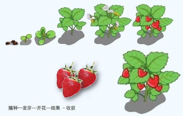 【防疫科普】如何利用園藝療法保持復(fù)工后身心健康？