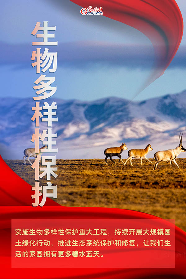海報| 2021年政府工作報告，提到這些生態(tài)環(huán)保關鍵詞