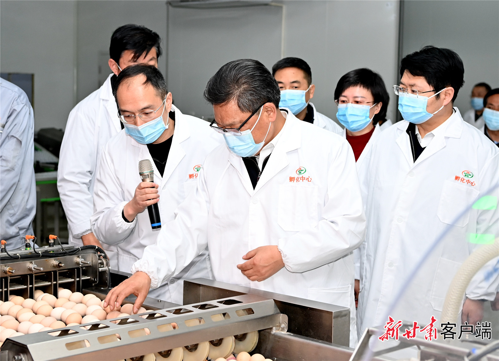 任振鶴在慶陽調(diào)研時強調(diào)：用新思想指引新征程，以新發(fā)展書寫新答卷，真抓實干推動新時代革命老區(qū)振興發(fā)展