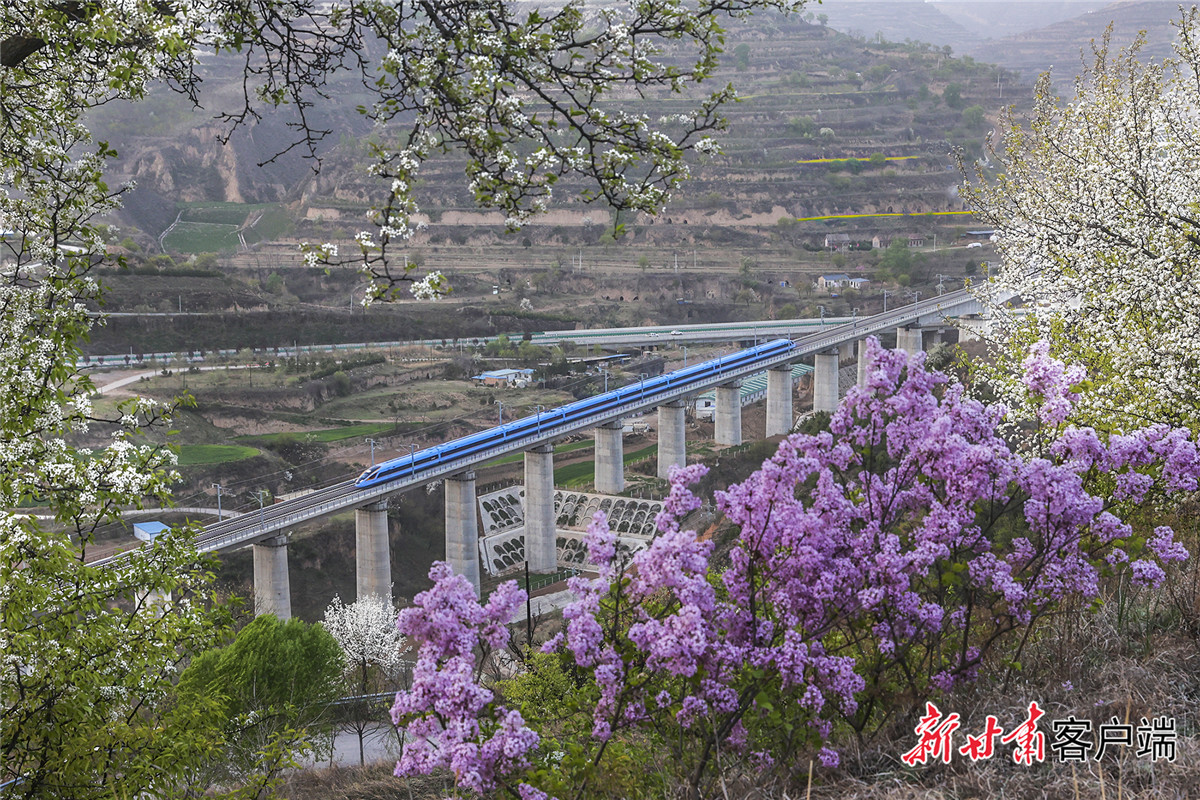 錨定目標(biāo) 篤行實(shí)干 加快革命老區(qū)高質(zhì)量發(fā)展——訪慶陽(yáng)市委書記黃澤元