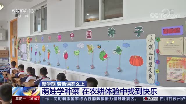 新學(xué)期，勞動(dòng)課怎么上？央視《新聞直播間》關(guān)注北師大慶陽附校農(nóng)耕體驗(yàn)課