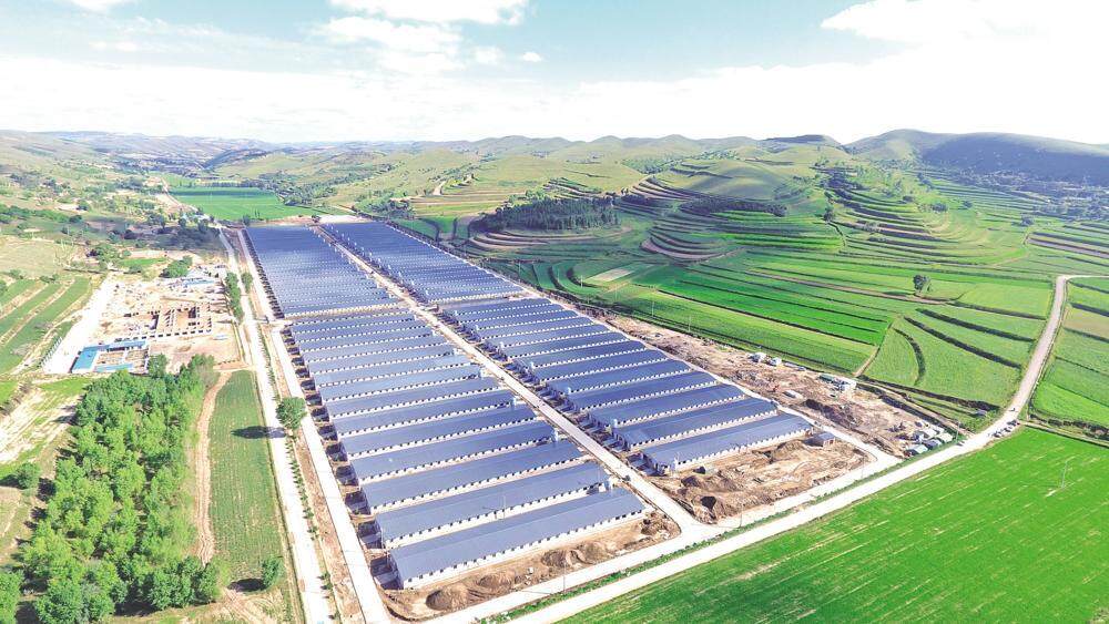 環(huán)縣雙廟20萬只肉羊育肥場俯瞰，