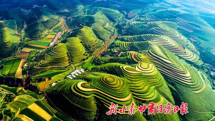 “羊”名立萬正當(dāng)時(shí)——環(huán)縣念羊經(jīng)、興羊業(yè)、發(fā)羊財(cái)促進(jìn)鄉(xiāng)村振興發(fā)展