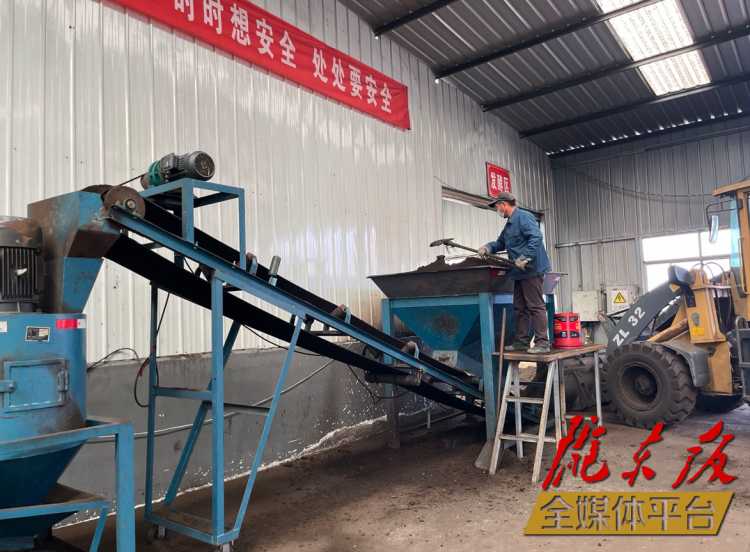 合水縣充分利用當?shù)匦笄菁S便及秸稈回收的有機肥料“變廢為肥”。本報記者 劉萍凝 攝