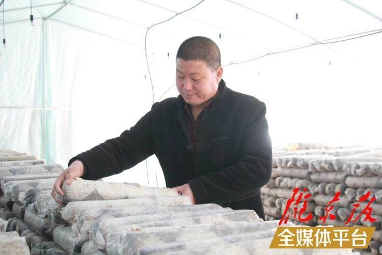 西峰區(qū)后官寨鎮(zhèn)司官寨村食用菌基地，工作人員在整理菌棒。本報記者 南力 攝