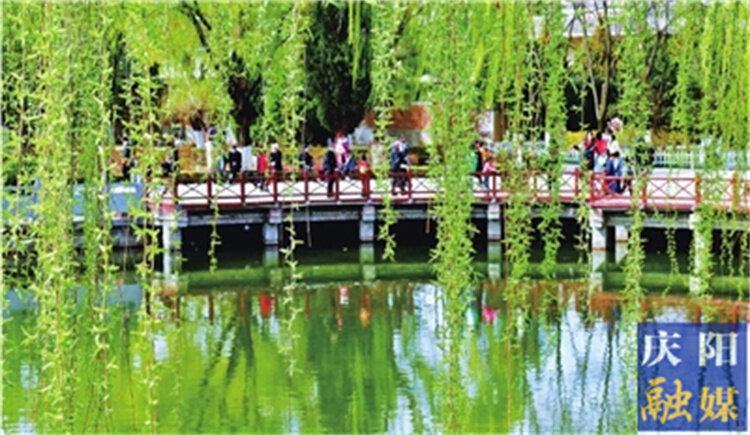 一點(diǎn)慶陽 | 忽然春來（康?。?>

                        <div   id=