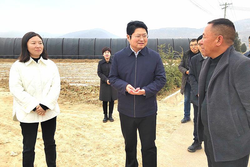 陳磊調(diào)研基層黨建、產(chǎn)業(yè)發(fā)展和項目建設工作
