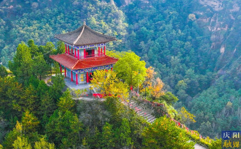 【攝影報道】天涼好個秋！一年一度醉人秋景如約而至
