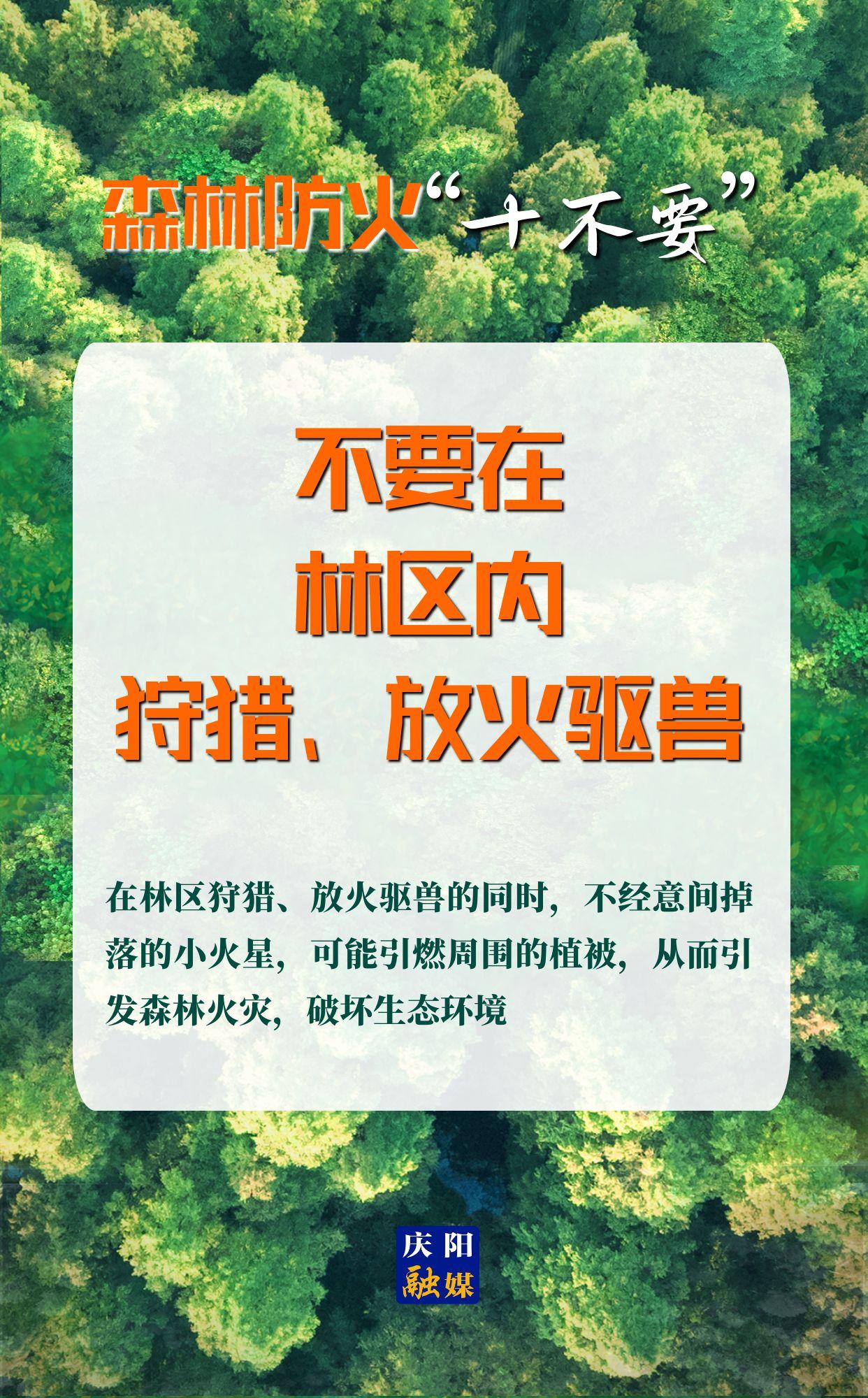 【微海報】森林防火“十不要”⑨丨不要在林區(qū)內(nèi)狩獵、放火驅(qū)獸