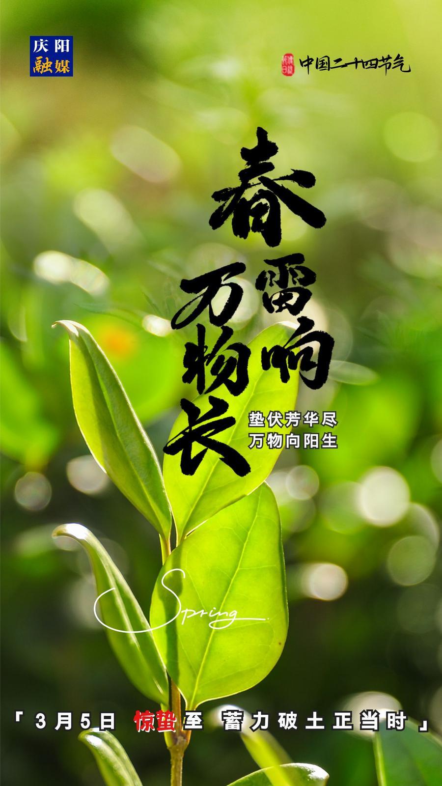 【微海報(bào)】二十四節(jié)氣丨驚蟄至，蓄力破土正當(dāng)時(shí)