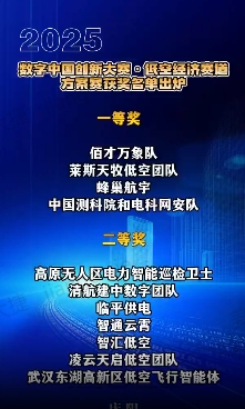 【V視】2025數(shù)字中國創(chuàng)新大賽·低空經(jīng)濟(jì)賽道方案賽獲獎名單公布