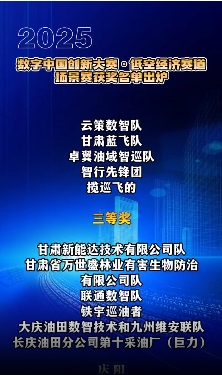 【V視】2025數(shù)字中國創(chuàng)新大賽·低空經(jīng)濟(jì)賽道場景賽獲獎名單出爐