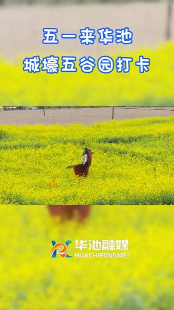 【五一游慶陽】歡迎來華池城壕五谷園打卡??！
