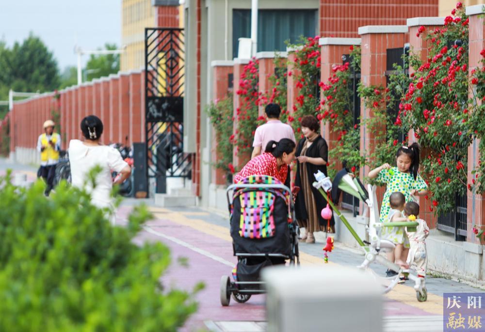 【攝影報道】薔薇花開！邂逅夏日的浪漫