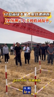 【V視】12位省級專家在鎮(zhèn)原現(xiàn)場測定小麥機(jī)收減損率
